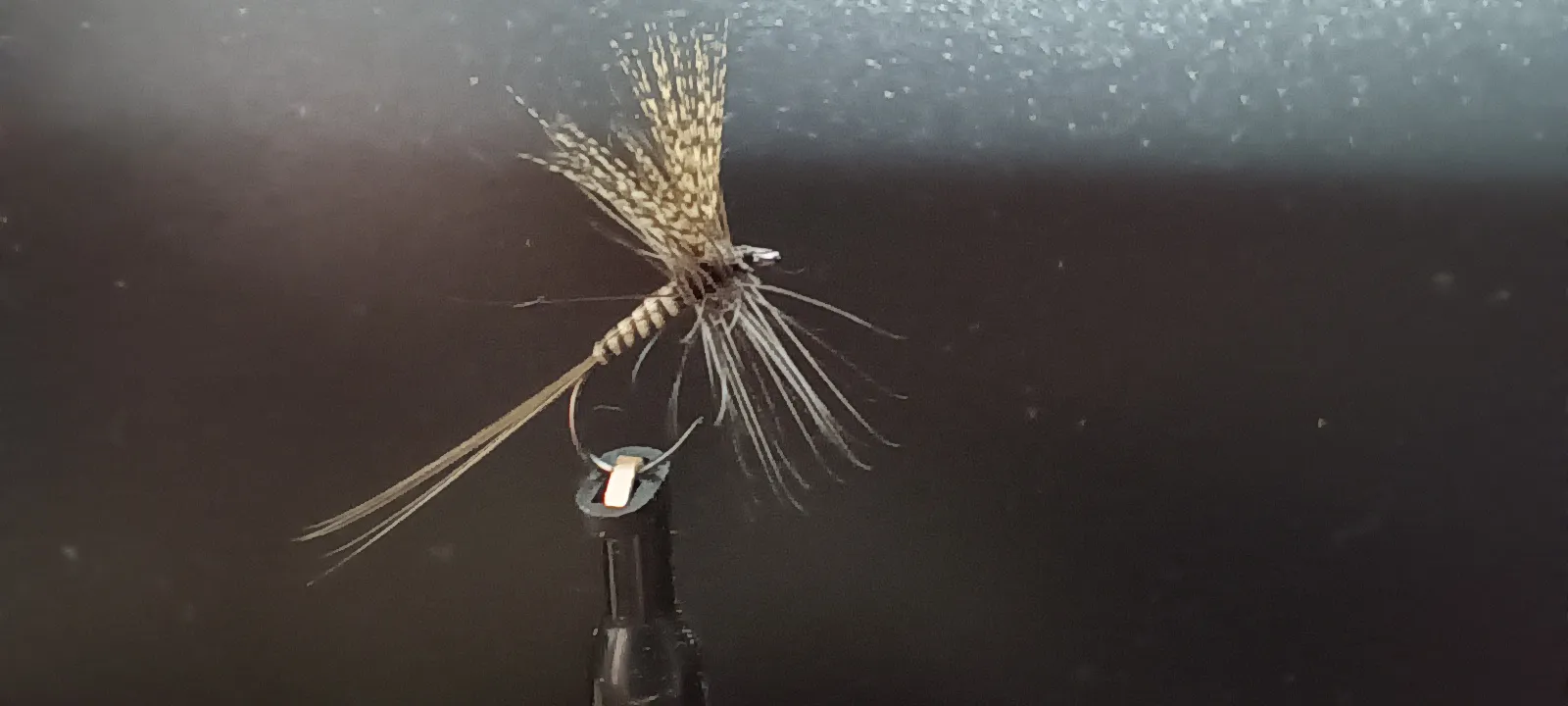 Från klassiska till moderna flugmönster