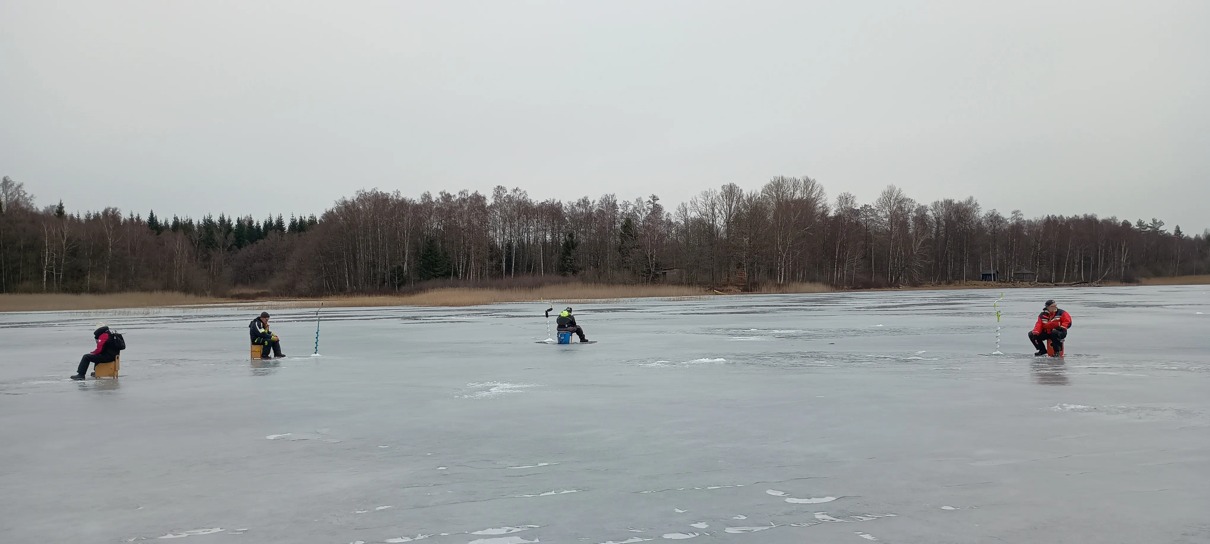 Fullt fokus på hugg.